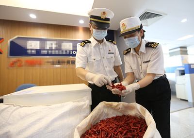 中非經(jīng)貿(mào)博覽會(huì) 合作成果豐碩，攜手共譜發(fā)展新篇