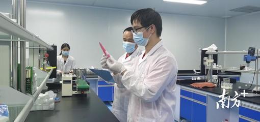 走進高新區(qū)&middot;感受新發(fā)展丨產值將突破50億元!梅州平遠南藥產業(yè)向全產業(yè)鏈邁進