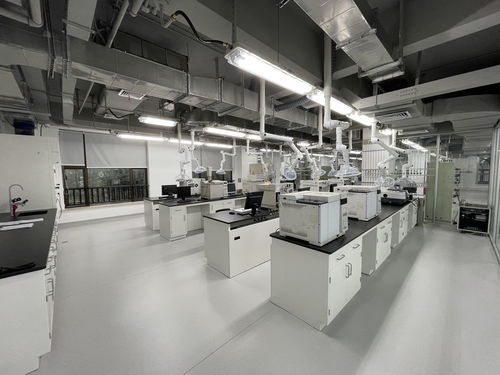 向地球深部進軍 山東能源集團深部煤炭數智化高效開采成套技術與工程應用引領煤炭工業(yè)高質量發(fā)展