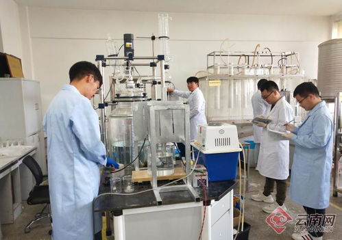 追夢綠水青山 看昆明理工大學科研團隊如何低碳減排創(chuàng)發(fā)展